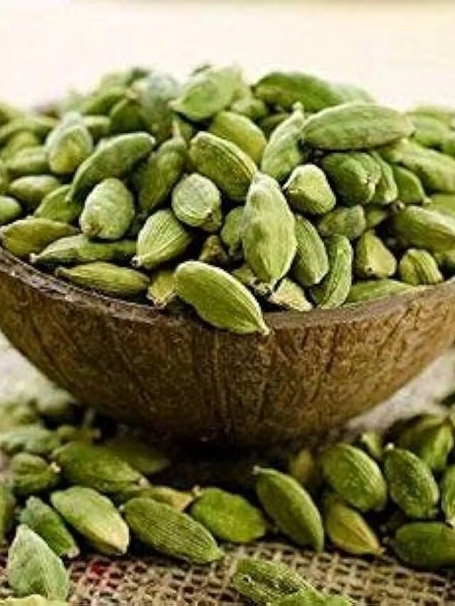 Health Benefits Of Eating Cardamom Daily