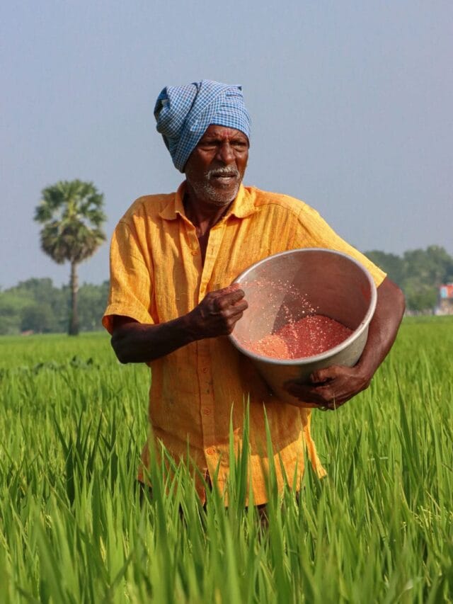 Indian farmer in agricultural field highlighting PM Kisan 23rd installment update