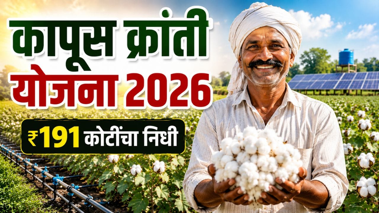 Indian cotton farmer standing in a cotton field under Kapus Kranti Yojana 2026